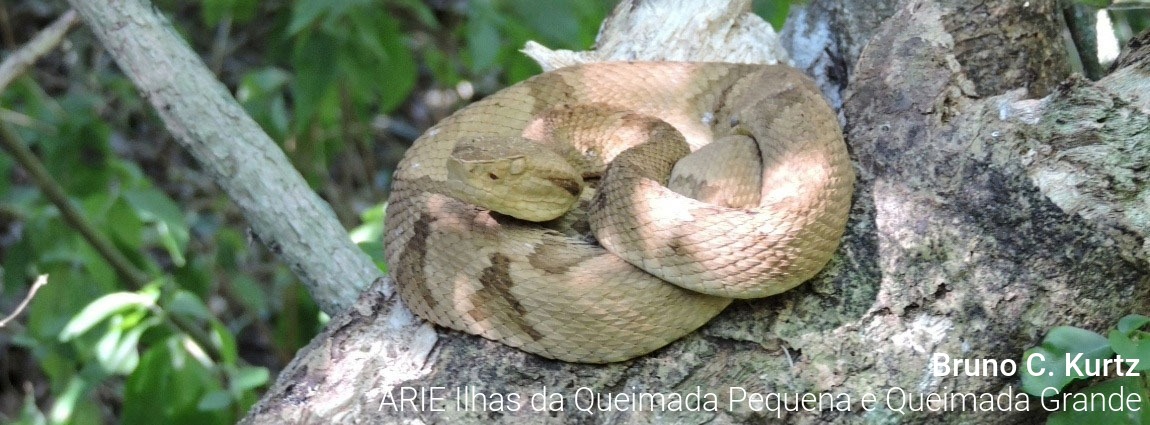 Área de Relevante Interesse Ecológico Ilhas da Queimada Pequena e Queimada Grande